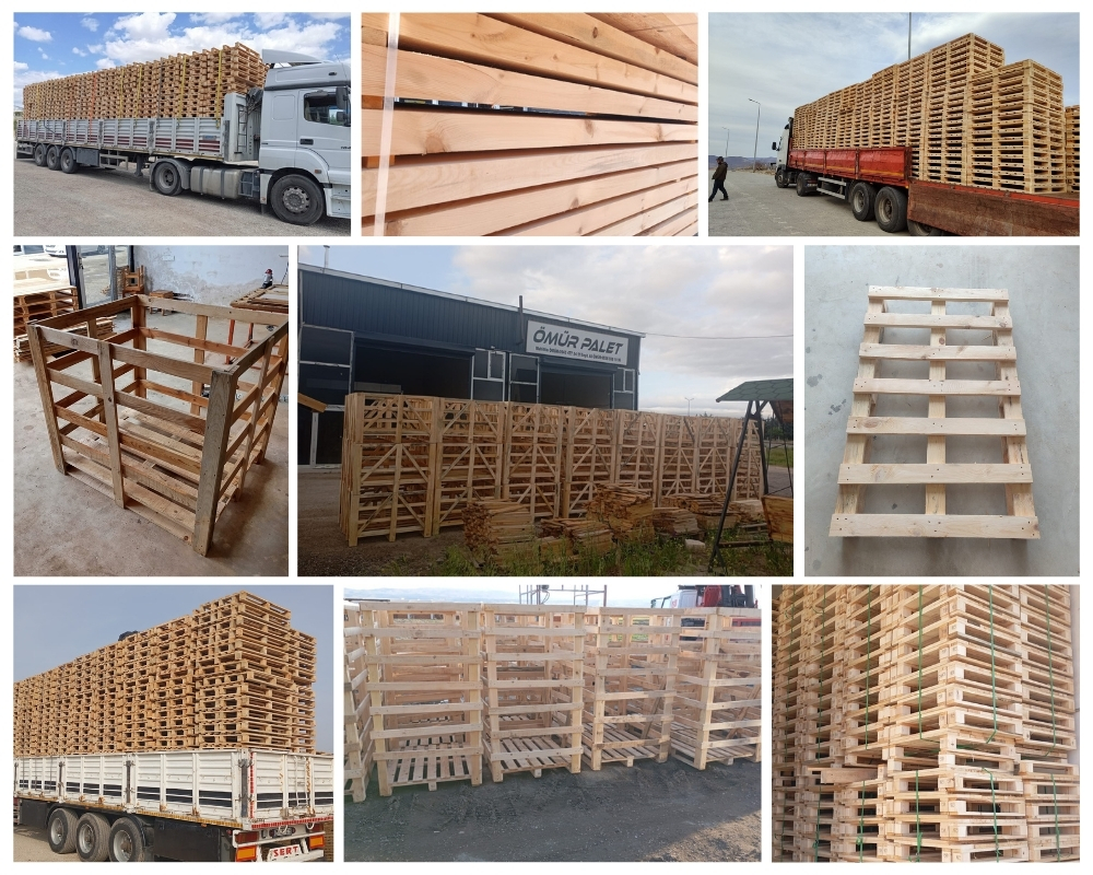 Born Houten Kisten, Europallets Groothandel Kopen